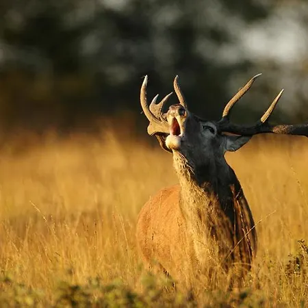 Deluxe By Kn 아파트